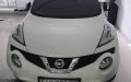 Nissan Juke 2015 - Cần bán gấp Nissan Juke sản xuất năm 2015, màu trắng chính chủ giá cạnh tranh