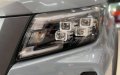 Nissan Navara VE 2021 - Bán Nissan Navara VE đời 2021, màu xám, nhập khẩu nguyên chiếc, giá chỉ 748 triệu