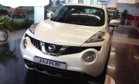 Nissan Juke 1.6 AT 2016 - Cần bán xe Nissan Juke 1.6 AT sản xuất 2016, màu trắng, nhập khẩu Anh có thương lượng giá 1 tỷ 60 tr tại Ninh Bình