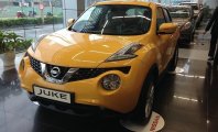 Nissan Juke   2015 - Bán xe Nissan Juke đời 2015, màu vàng giá 1 tỷ 37 tr tại Tp.HCM