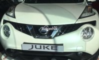 Nissan Juke 2017 - Bán Nissan Juke đời 2017, nhập khẩu giá 1 tỷ 60 tr tại Hà Nội