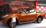 Nissan Navara 4WD 2017 - Bán Nissan Navara đời 2017, xe nhập nguyên chiếc, giá tốt nhất khi liên hệ 0979110504 giá 725 triệu tại Bắc Ninh