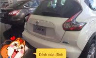 Nissan Juke 2016 - Bán ô tô Nissan Juke năm 2016, màu trắng, xe nhập giá 1 tỷ 60 tr tại Hà Nội