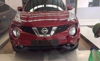 Nissan Juke 2017 - Bán Nissan Juke 2017, màu đỏ giá 1 tỷ 60 tr tại Hà Nội