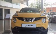 Nissan Juke AT 2015 - Bán Nissan Juke AT đời 2015, màu vàng, nhập khẩu giá 1 tỷ 60 tr tại Quảng Trị
