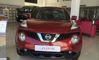 Nissan Juke 2016 - Bán ô tô Nissan Juke đời 2016, màu đỏ giá 1 tỷ 30 tr tại Tp.HCM