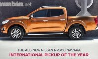 Nissan Navara 2017 - Cần bán Nissan Navara 2017, xe nhập, 595 triệu giá 595 triệu tại BR-Vũng Tàu