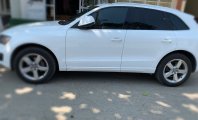 Audi Q5    2010 - Bán ô tô Audi Q5 đời 2010, màu trắng, nhập khẩu nguyên chiếc   giá 655 triệu tại Sơn La